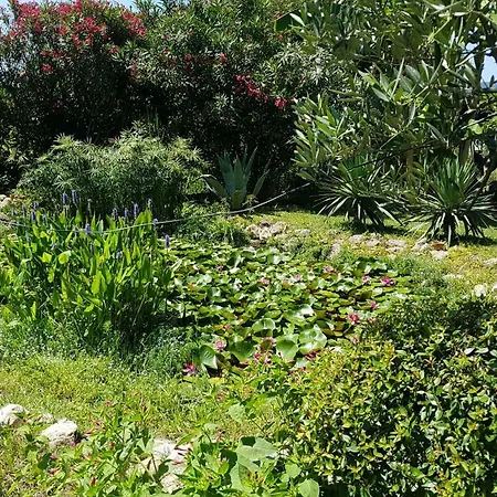 Casa Marta